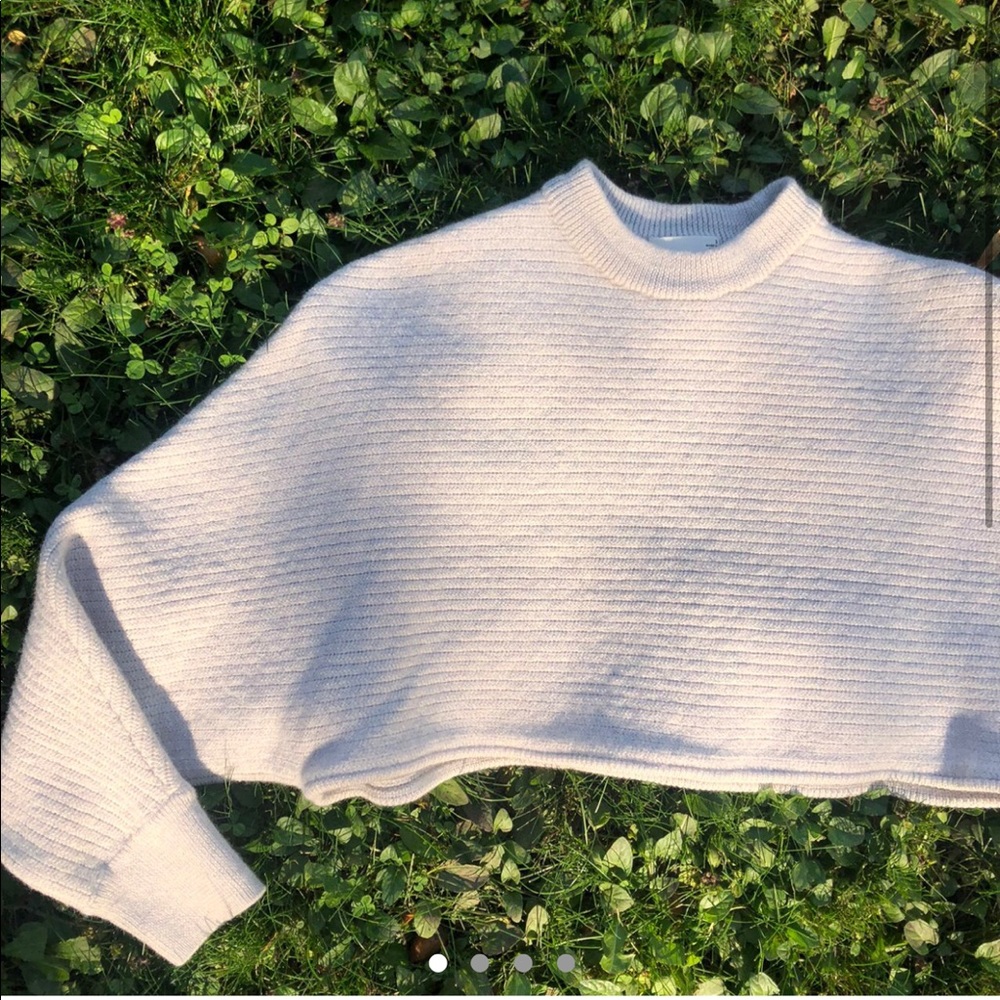 Aritzia Wool sweater